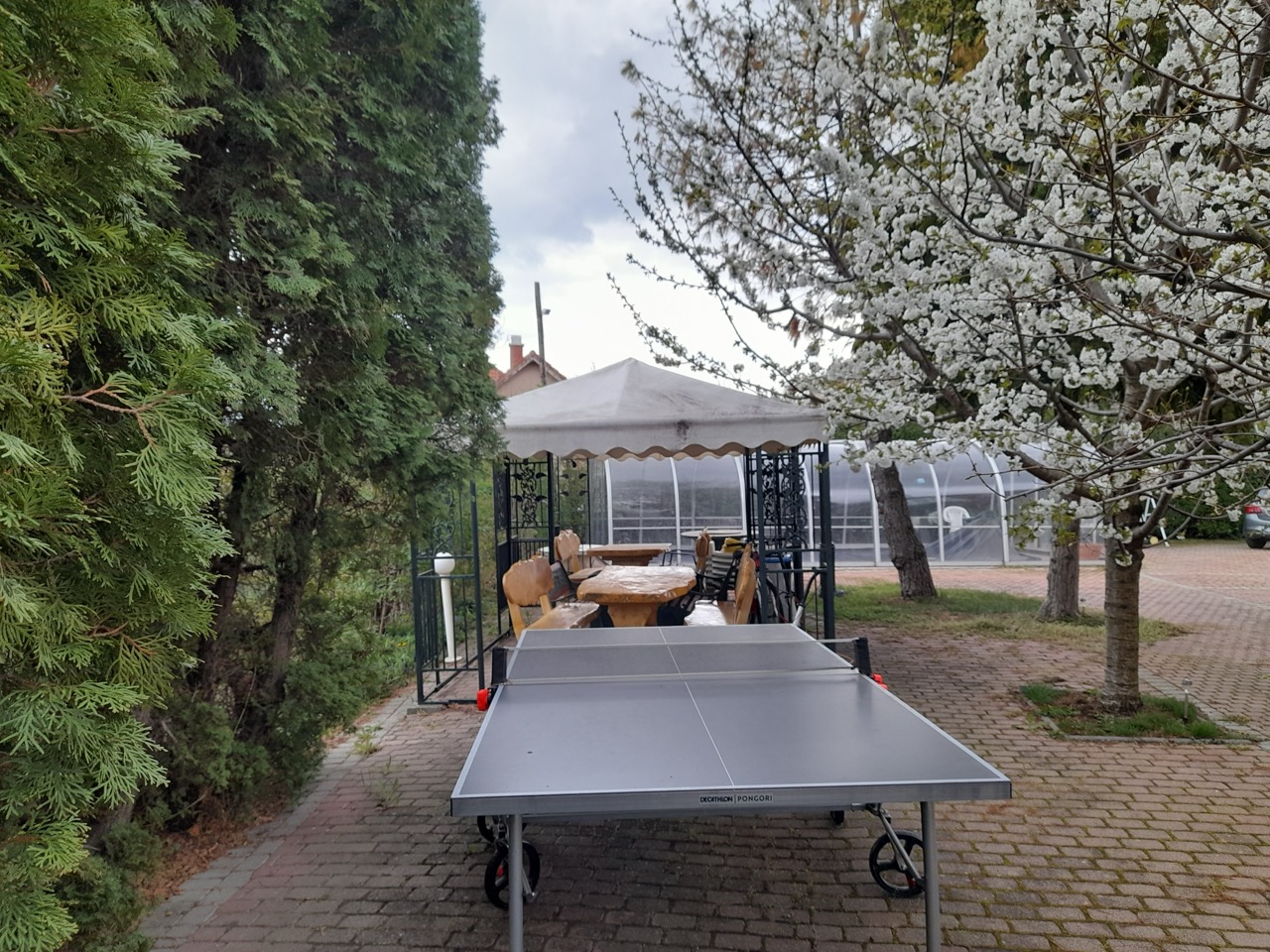 Ping-pong asztal